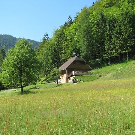 Apartmaji Brloznica Pod Veliko Planino Luče الغرفة الصورة