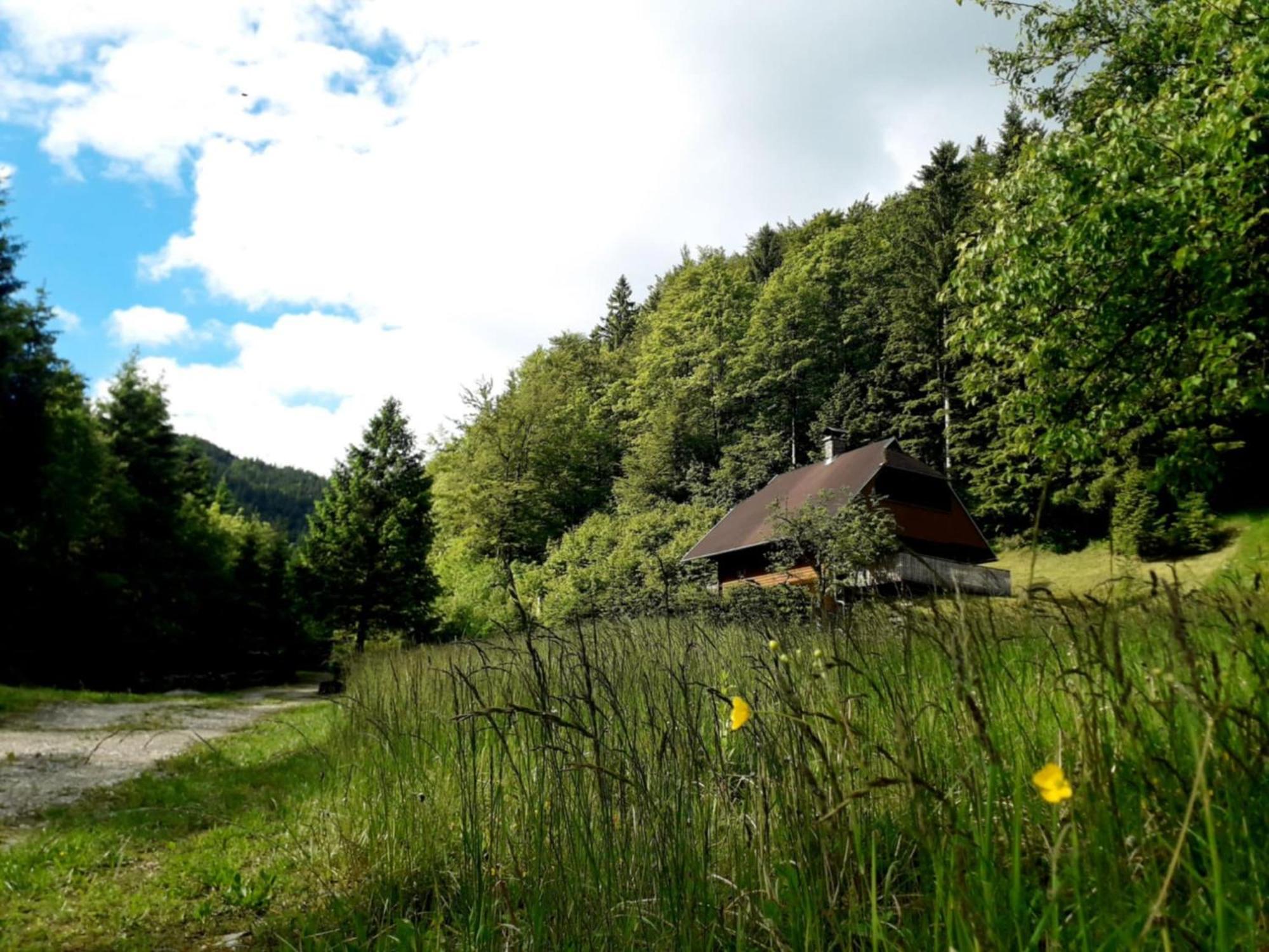 Apartmaji Brloznica Pod Veliko Planino Luče المظهر الخارجي الصورة