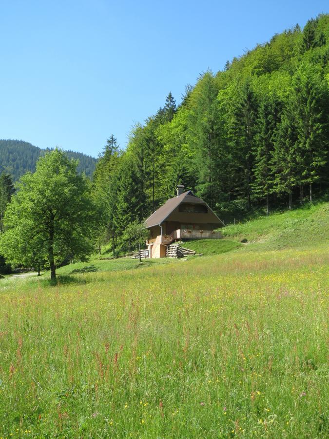 Apartmaji Brloznica Pod Veliko Planino Luče الغرفة الصورة
